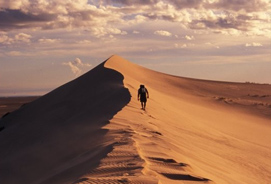 Athabasca Sand Dunes Provincial Park